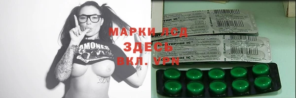 шишки Алзамай