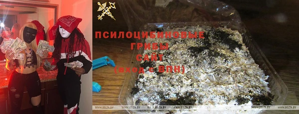 твердый Протвино